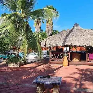 Bed & Breakfast Woodstock Palmresort Curacao, Willemstad